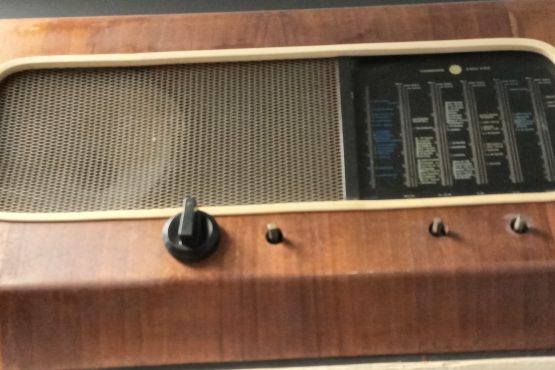 BIOGRAFIESE SKETSE VAN MEDIAMENSE