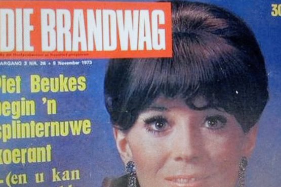 ‘STER’, DIE HERSTIGTE ‘BRANDWAG’, ‘PRONK’ EN DIE HNP