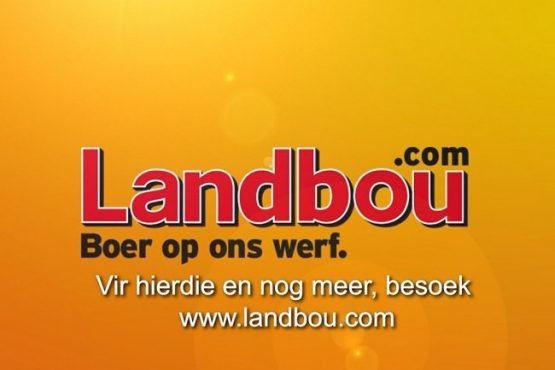 LANDBOU.COM — REUSE-SUKSES ONDANKS SKAAM BULLE, NATANIëL EN DIVERSE FOUTE
